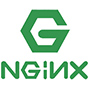 logo nginx